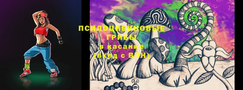 как найти закладки  Подольск  Псилоцибиновые грибы Cubensis 